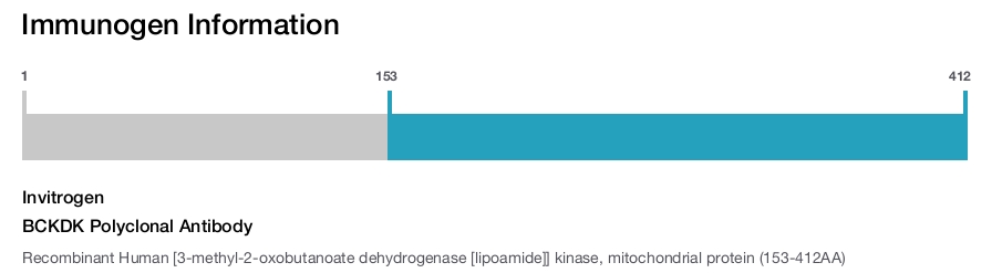 BCKDK Polyclonal Antibody