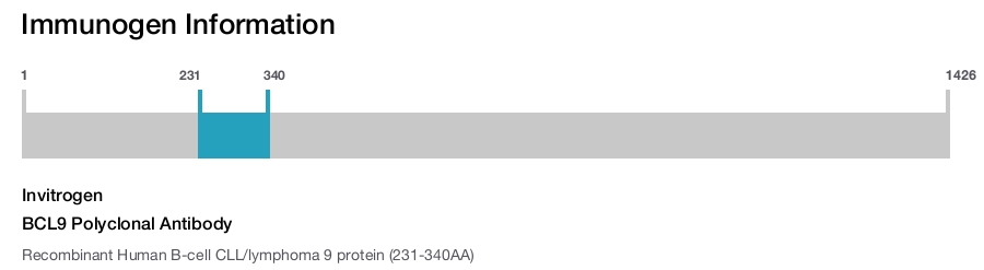 BCL9 Polyclonal Antibody