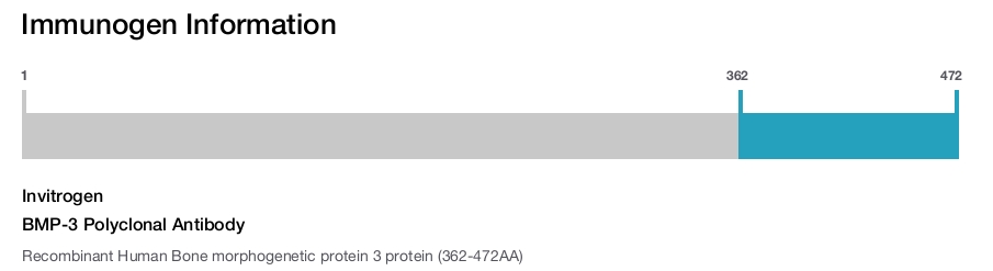 BMP-3 Polyclonal Antibody