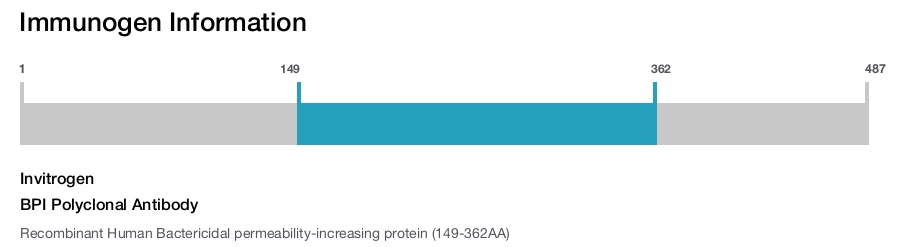 BPI Polyclonal Antibody