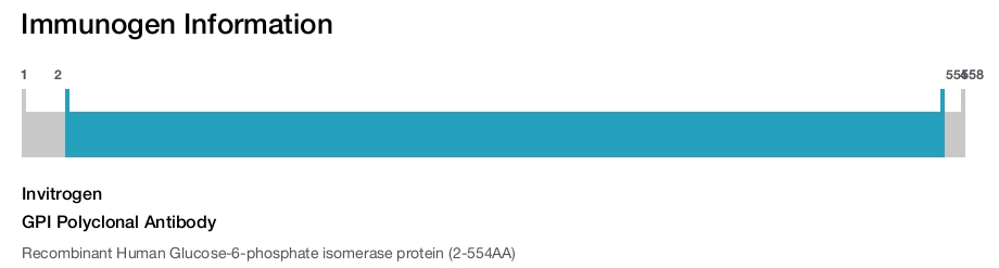 GPI Polyclonal Antibody