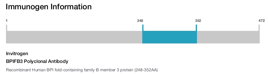 BPIFB3 Polyclonal Antibody