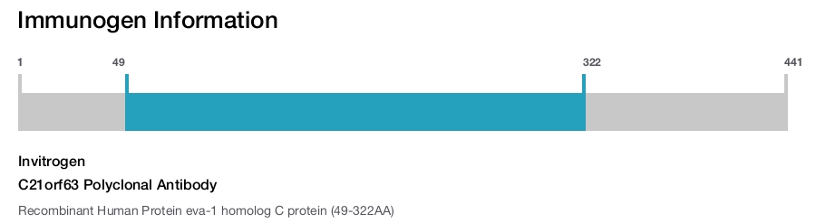 C21orf63 Polyclonal Antibody