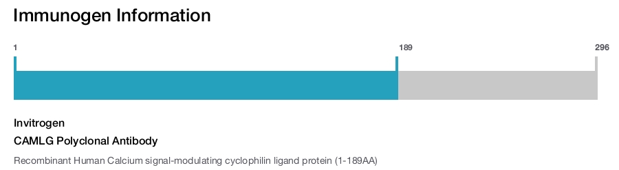 CAMLG Polyclonal Antibody