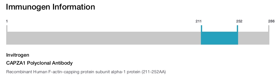CAPZA1 Polyclonal Antibody