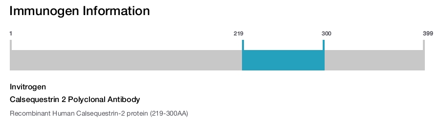 Calsequestrin 2 Polyclonal Antibody