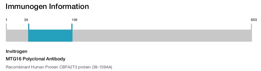 MTG16 Polyclonal Antibody