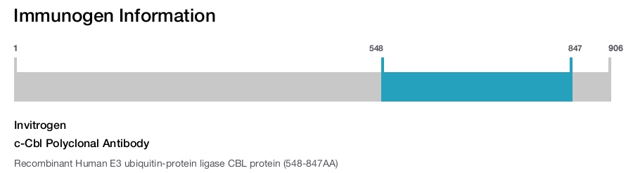 c-Cbl Polyclonal Antibody