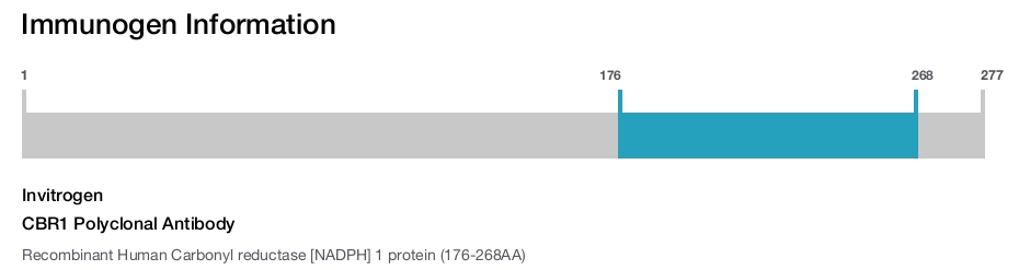 CBR1 Polyclonal Antibody