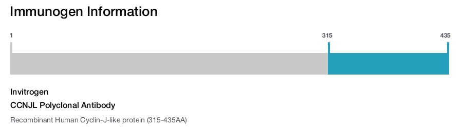 CCNJL Polyclonal Antibody