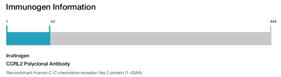 CCRL2 Polyclonal Antibody
