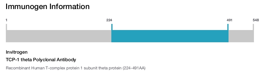 TCP-1 theta Polyclonal Antibody