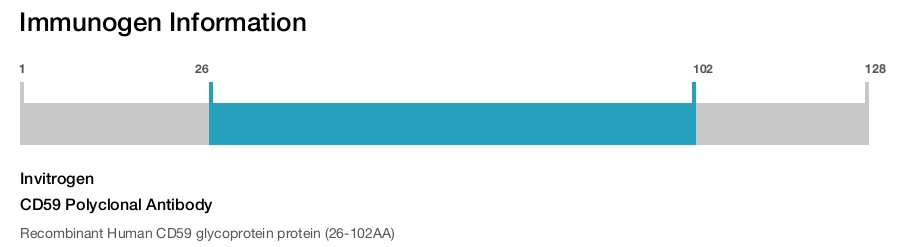 CD59 Polyclonal Antibody