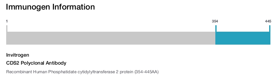 CDS2 Polyclonal Antibody