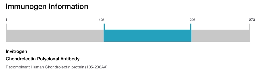 Chondrolectin Polyclonal Antibody