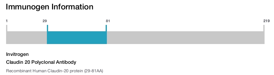 Claudin 20 Polyclonal Antibody