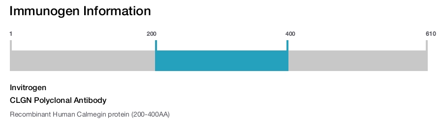 CLGN Polyclonal Antibody