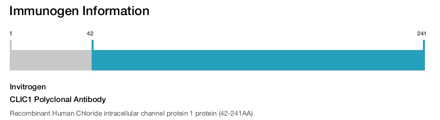 CLIC1 Polyclonal Antibody