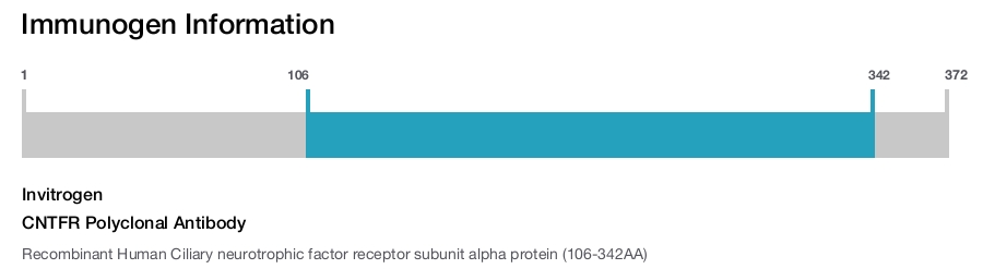 CNTFR Polyclonal Antibody