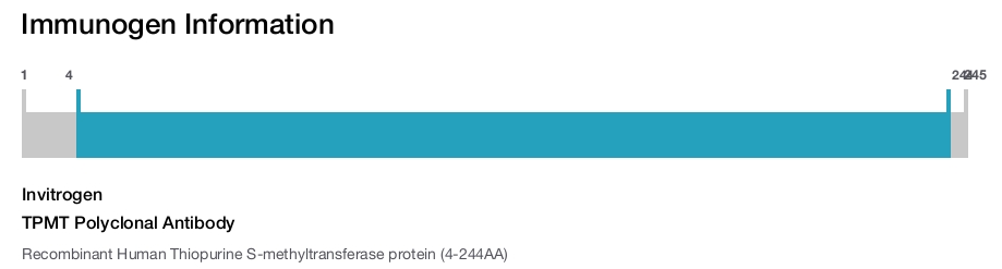 TPMT Polyclonal Antibody