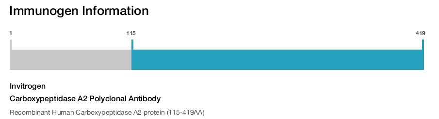 Carboxypeptidase A2 Polyclonal Antibody
