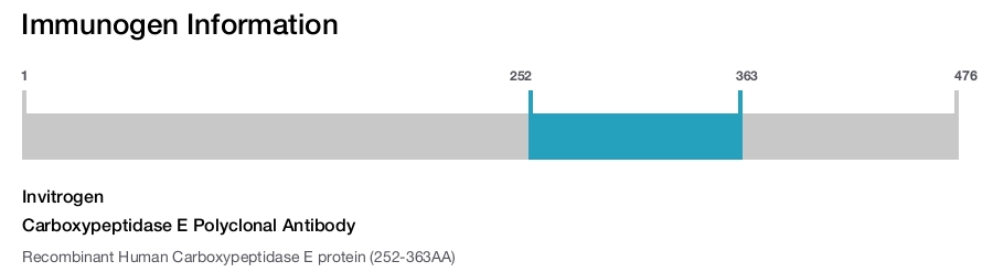 Carboxypeptidase E Polyclonal Antibody