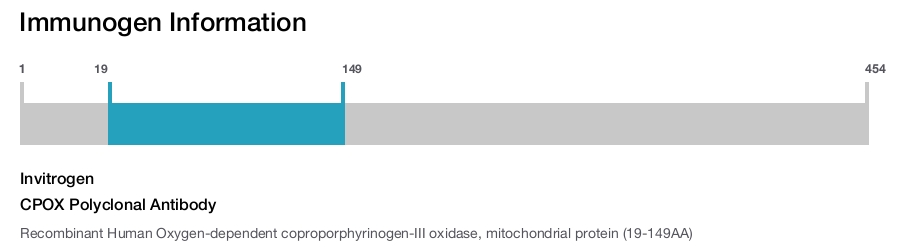CPOX Polyclonal Antibody