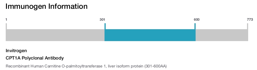 CPT1A Polyclonal Antibody