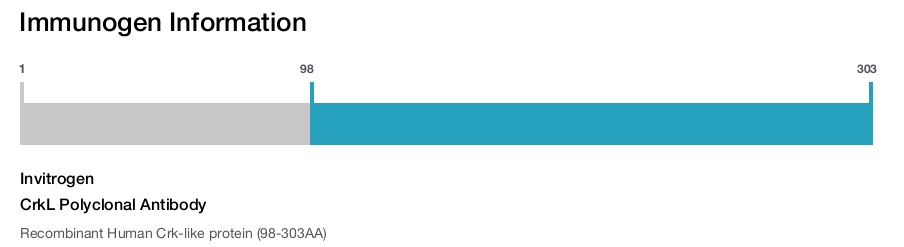 CrkL Polyclonal Antibody