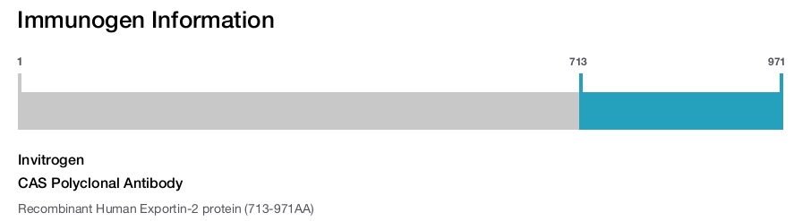 CAS Polyclonal Antibody