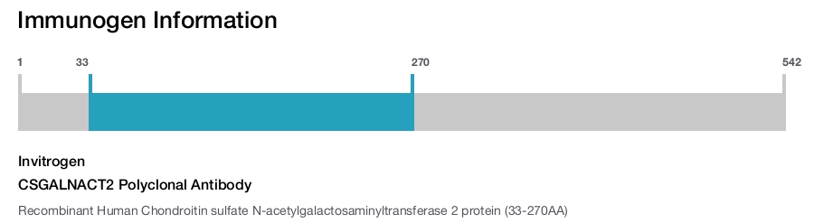 CSGALNACT2 Polyclonal Antibody