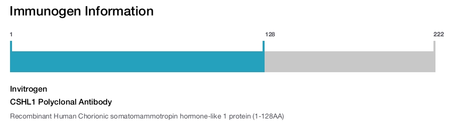 CSHL1 Polyclonal Antibody