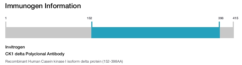 CK1 delta Polyclonal Antibody