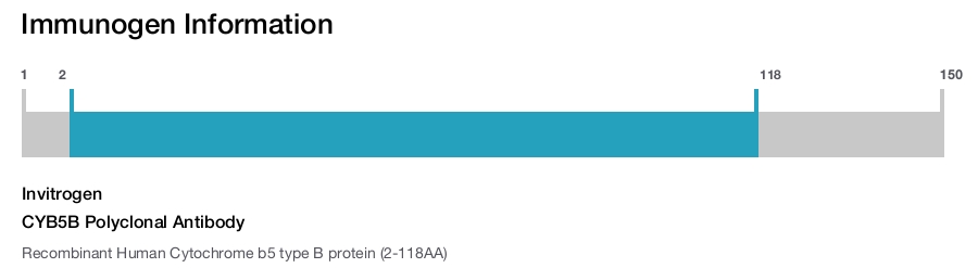 CYB5B Polyclonal Antibody