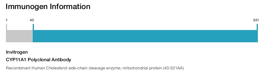CYP11A1 Polyclonal Antibody