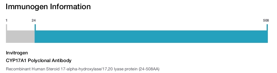 CYP17A1 Polyclonal Antibody