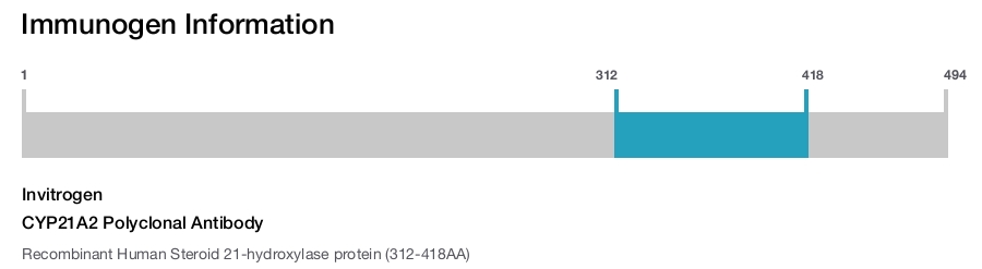 CYP21A2 Polyclonal Antibody