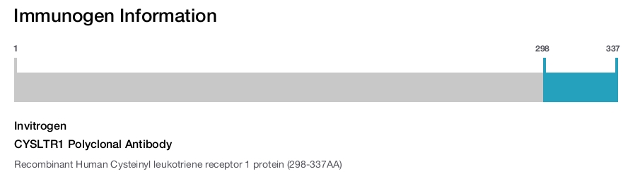 CYSLTR1 Polyclonal Antibody