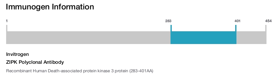 ZIPK Polyclonal Antibody