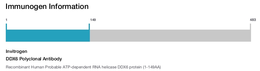 DDX6 Polyclonal Antibody