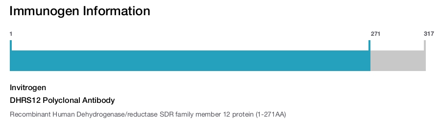 DHRS12 Polyclonal Antibody