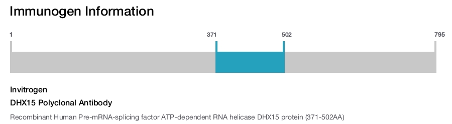 DHX15 Polyclonal Antibody