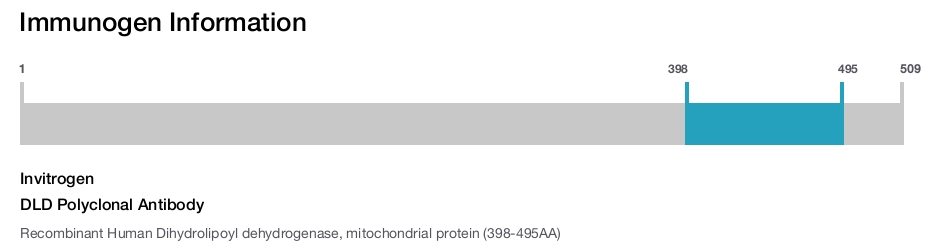 DLD Polyclonal Antibody