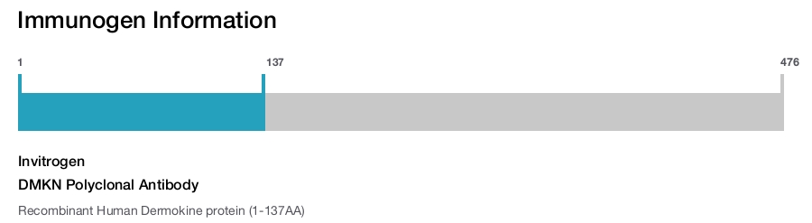 DMKN Polyclonal Antibody