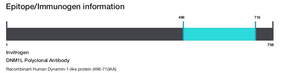 DNM1L Polyclonal Antibody