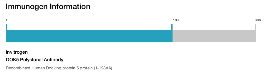 DOK5 Polyclonal Antibody