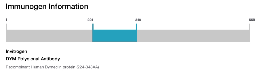 DYM Polyclonal Antibody