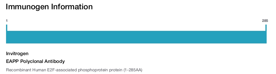 EAPP Polyclonal Antibody