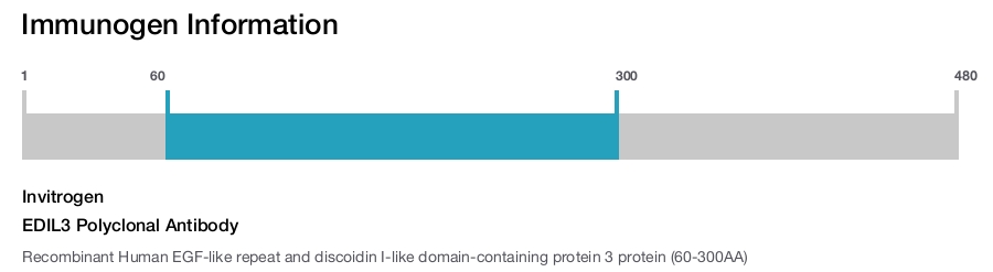 EDIL3 Polyclonal Antibody