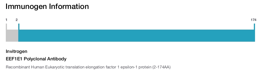 EEF1E1 Polyclonal Antibody